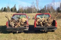 Contact us for information on our hunting packages.