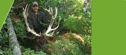 Mountain Shadows Hunting - Maine High Fence Hunting